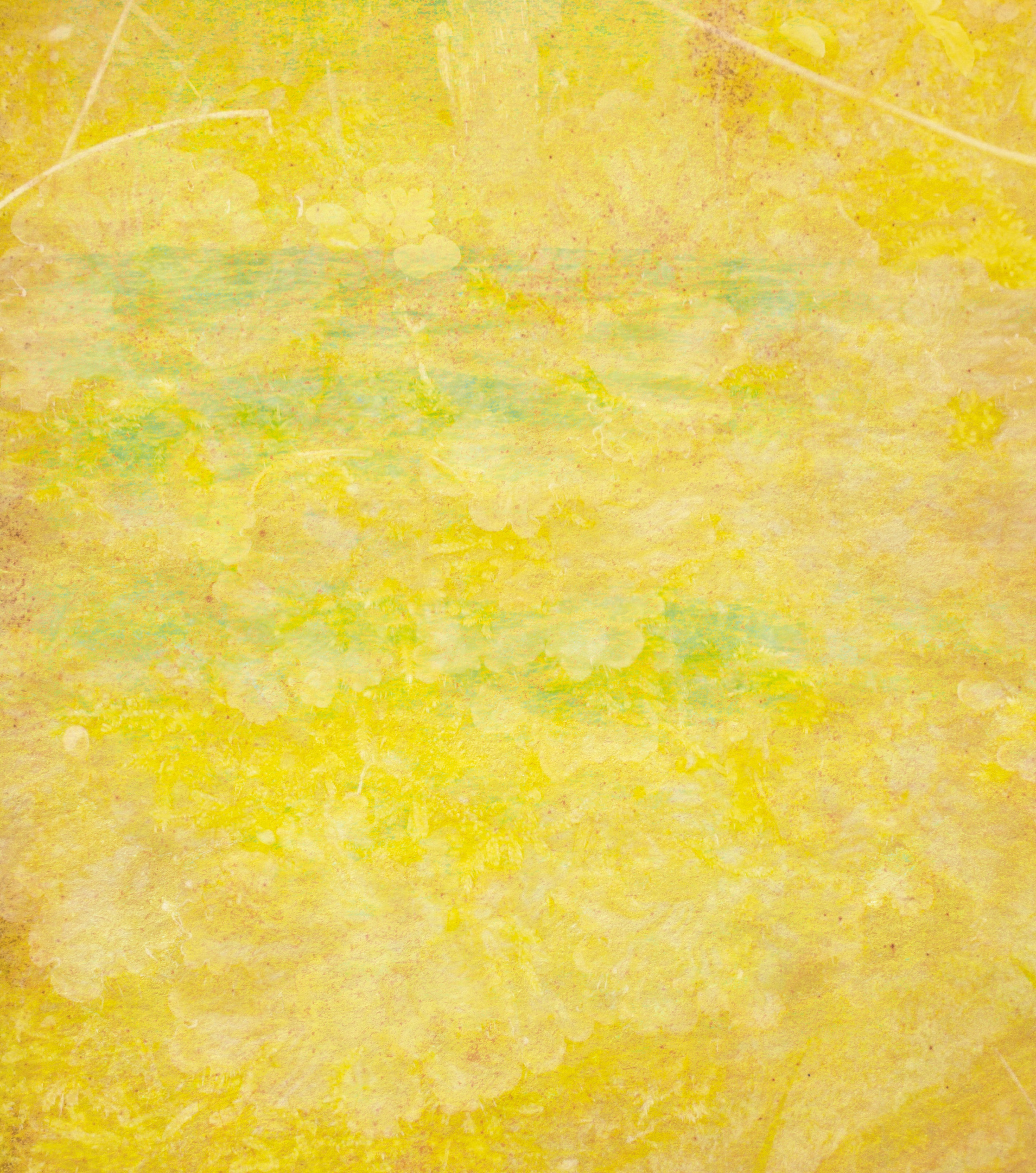 Texture, Yellow, Paper, Green, Background